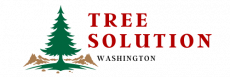 Washington Tree Solution