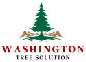 Washington Tree Solution